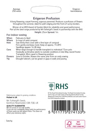RHS Erigeron Profusion Seeds 250 Seeds, Hardy Perennial Fleabane Daisy | Flower Seeds | 5011775274133 5011775274133 | AllotMate Essentials