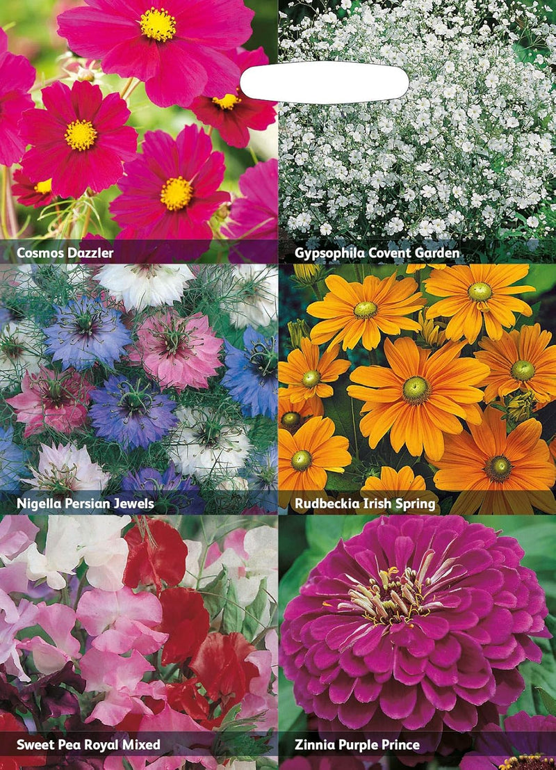 RHS Flowers for Cutting Seed Collection 6 Cut Flower Varieties | Flower Seeds | 5011775290362 5011775290362 | AllotMate Essentials