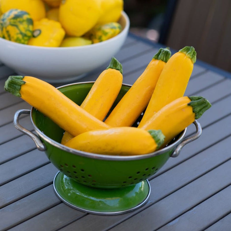 RHS Vegetables for Containers Collection 6 Varieties, Curated Vegetable Seed Collection for Pots and Patios | Vegetable Seeds | 5011775290447 5011775290447 | AllotMate Essentials