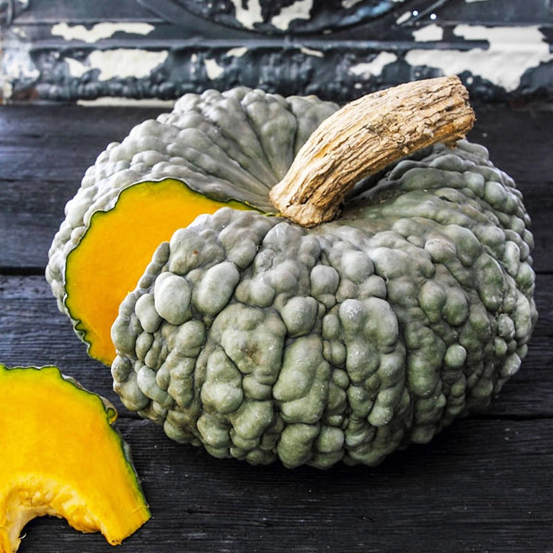 RHS Vegetables from Italy Vegetable Seeds Collection 6 Authentic Italian Varieties | Vegetable Seeds | 5011775290478 5011775290478 | AllotMate Essentials