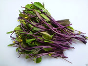 RHS Vegetables from the Orient Vegetable Seeds Collection 6 Asian Inspired Varieties | Vegetable Seeds | 5011775290485 5011775290485 | AllotMate Essentials