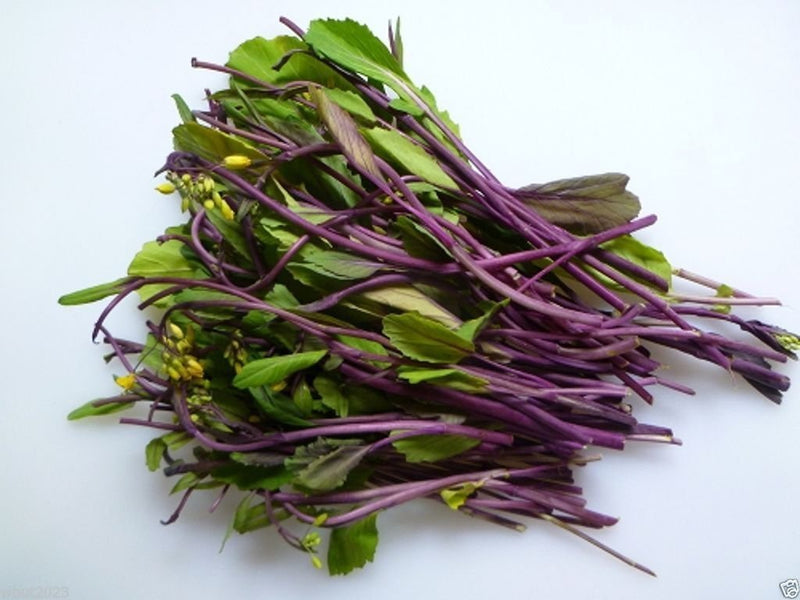 RHS Vegetables from the Orient Vegetable Seeds Collection 6 Asian Inspired Varieties | Vegetable Seeds | 5011775290485 5011775290485 | AllotMate Essentials