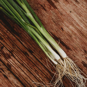 RHS Vegetables from the Orient Vegetable Seeds Collection 6 Asian Inspired Varieties | Vegetable Seeds | 5011775290485 5011775290485 | AllotMate Essentials