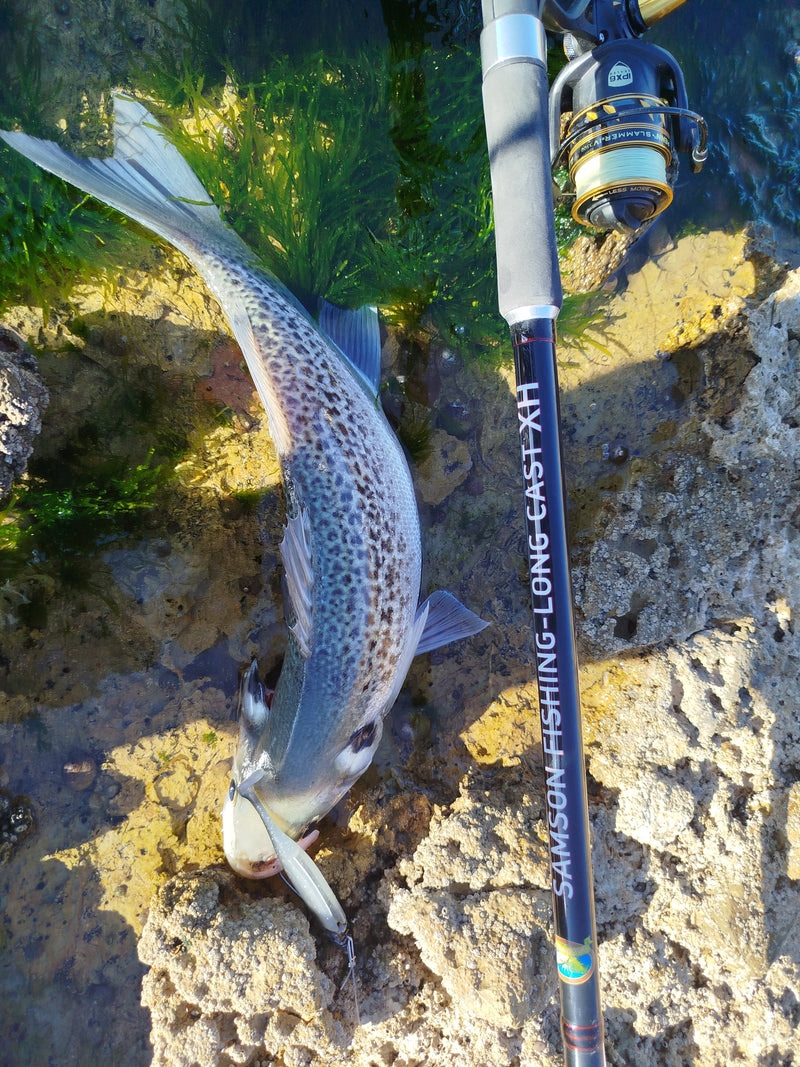 Waylander - Mean Minnow x3 Soft Plastic with Jighead (Lead Free) 27g