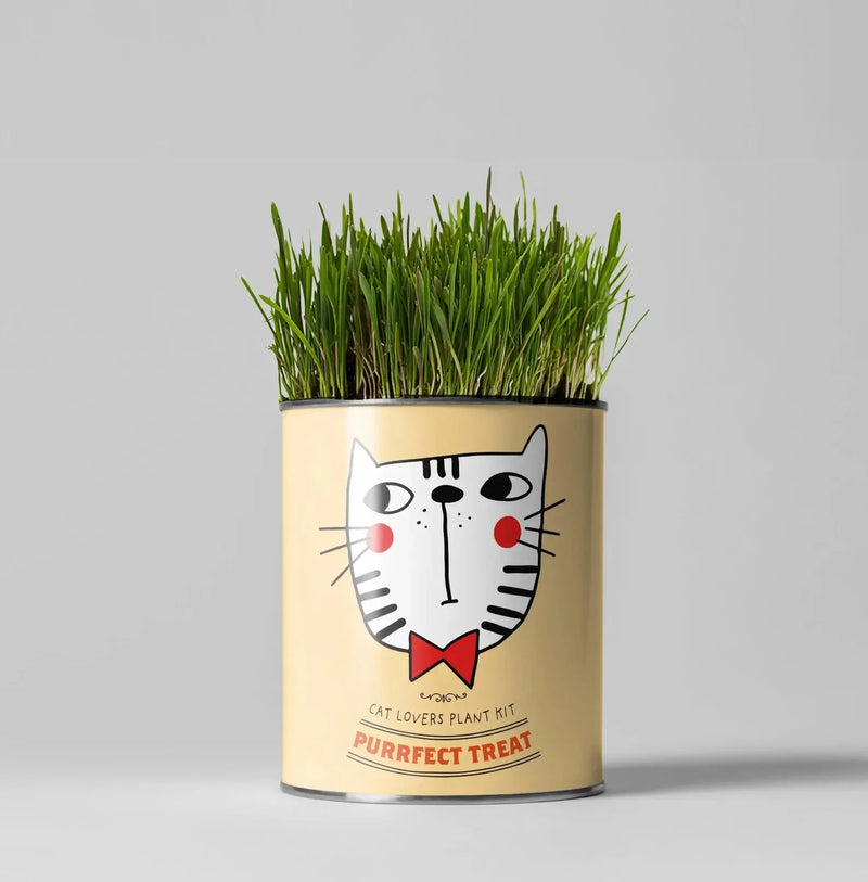 Cat - Friendly Plant Grow Kit – Perfect Gift for Cat Owners | The Plant Gift Co. | Plant Growing Kit | THEPLANTCO - CATLOVERS | AllotMate Essentials